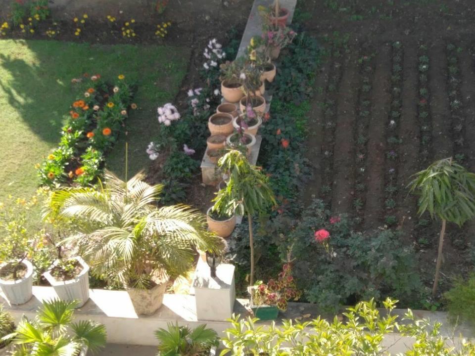 Heritage Homestay Jammu Exteriör bild