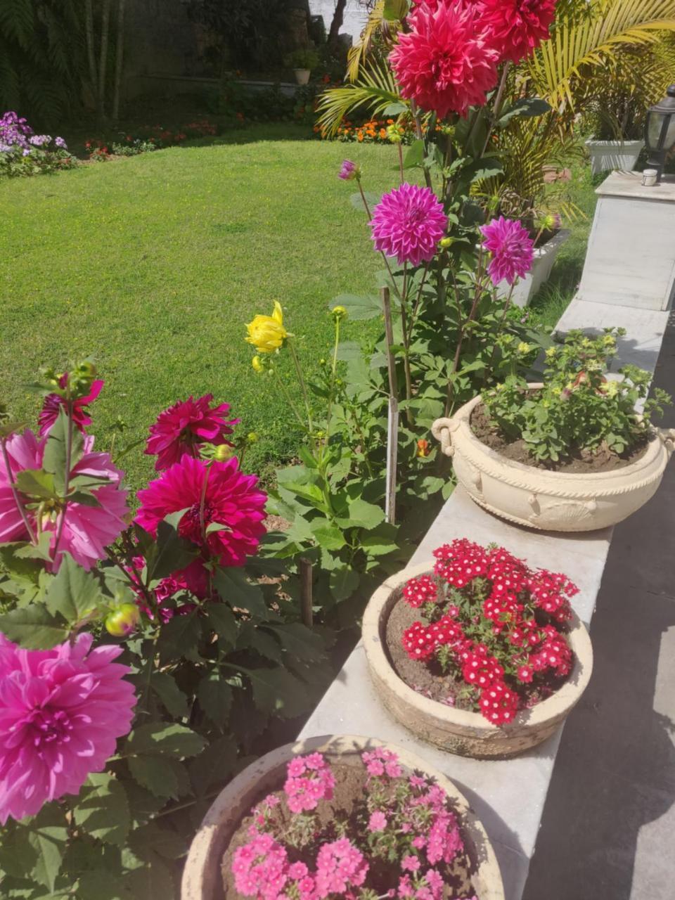 Heritage Homestay Jammu Exteriör bild